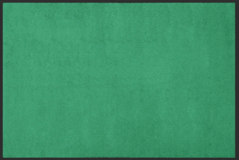 Fußmatte Neutral Farbe 071