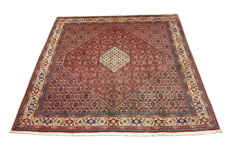 Perserteppich - Bidjar 247 x 260 cm - braun