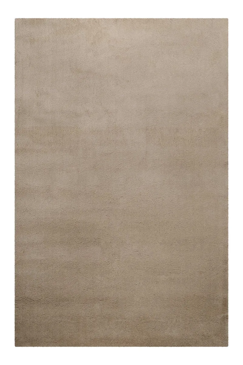 Teppich Sand Beige Kurzflor aus Wolle "Campino" Homie Living
