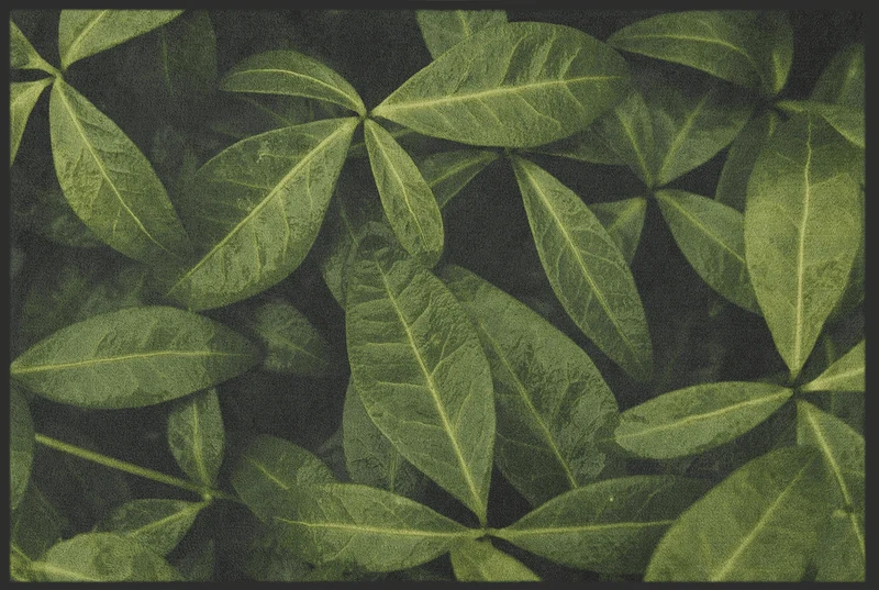 Fussmatte 10678