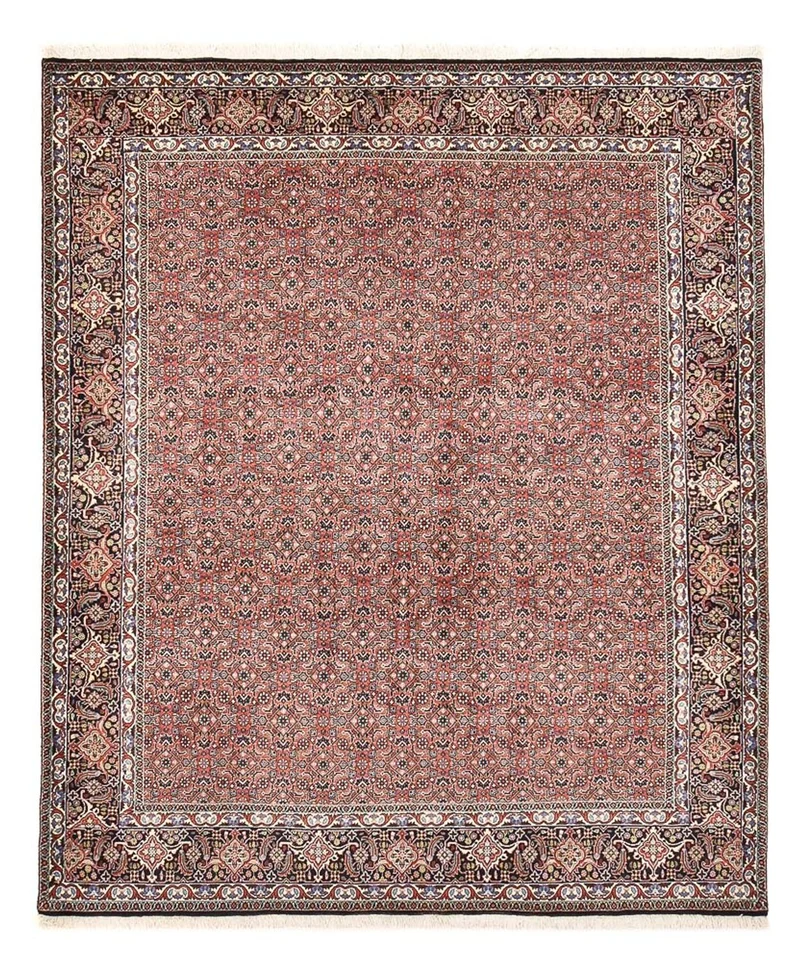 Bidjar Teppich 204x244cm - Perserteppich