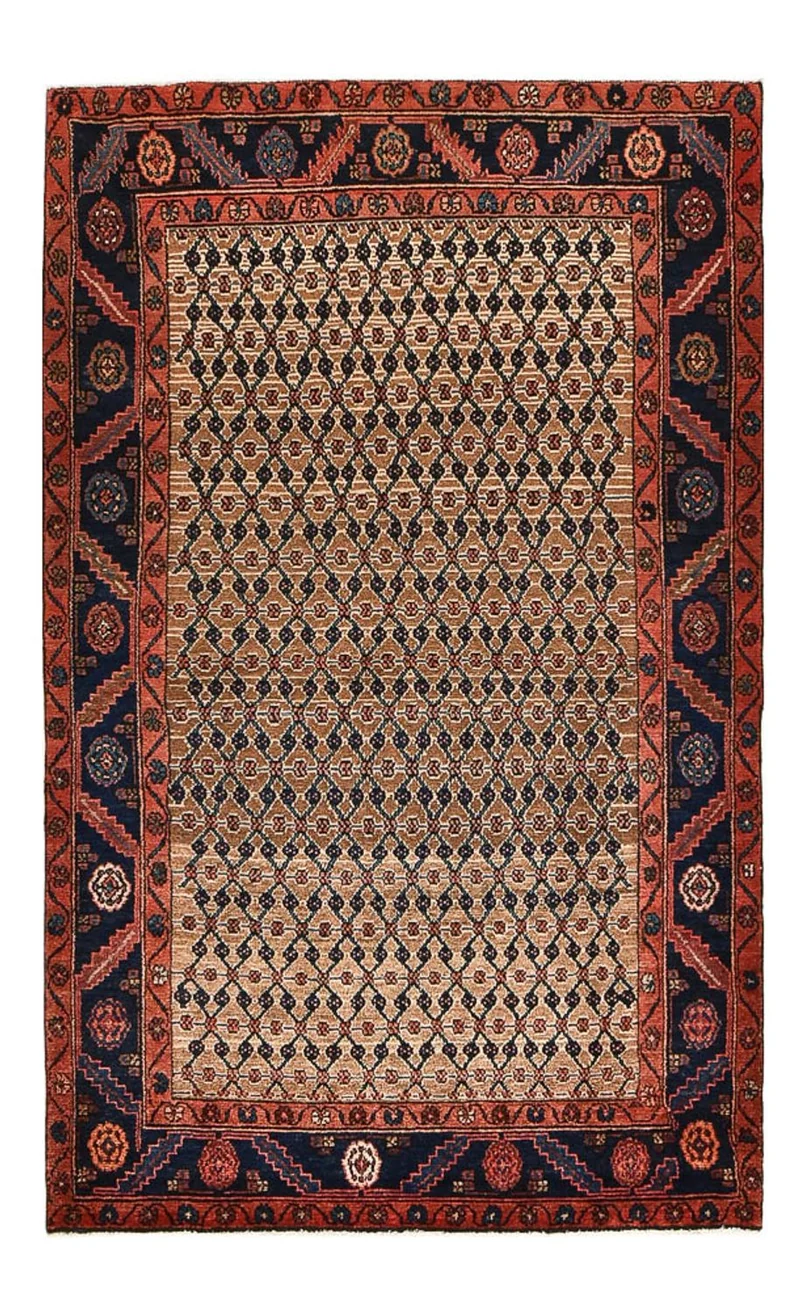 Kolyai Teppich 123x198cm - Perserteppich