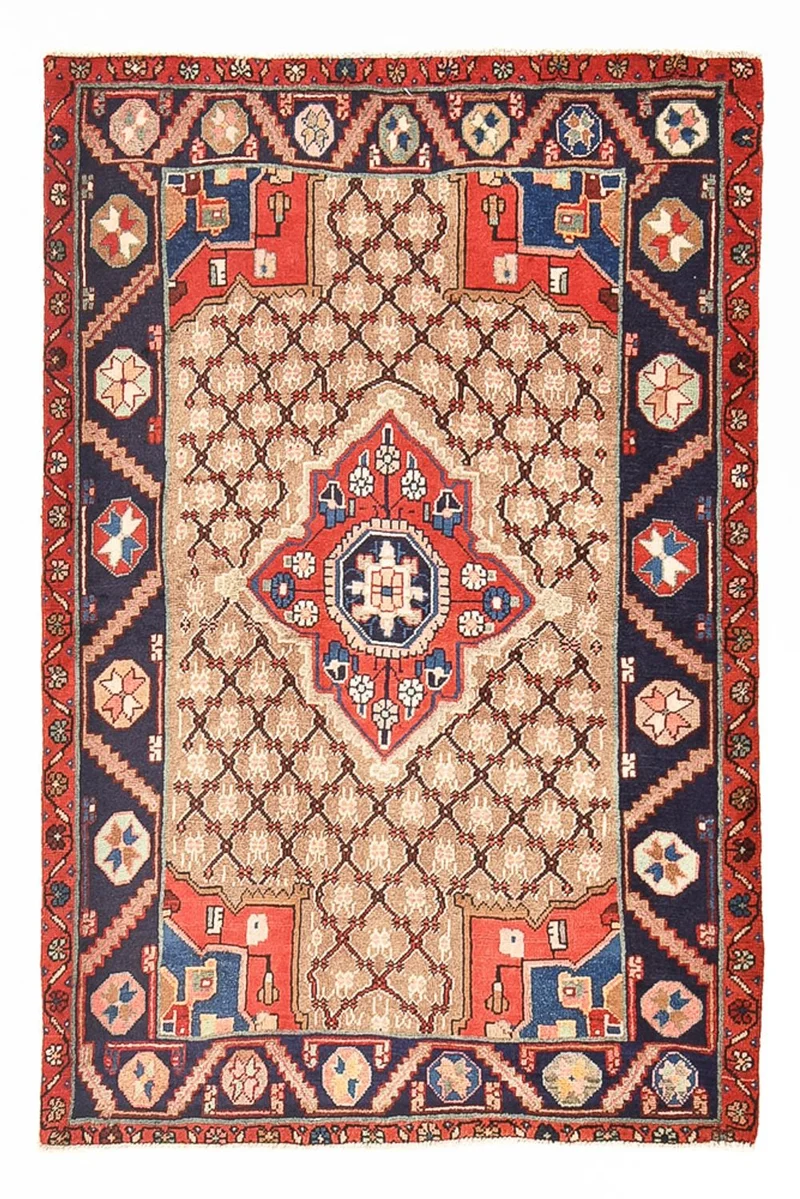 Kolyai Teppich 97x146cm - Perserteppich