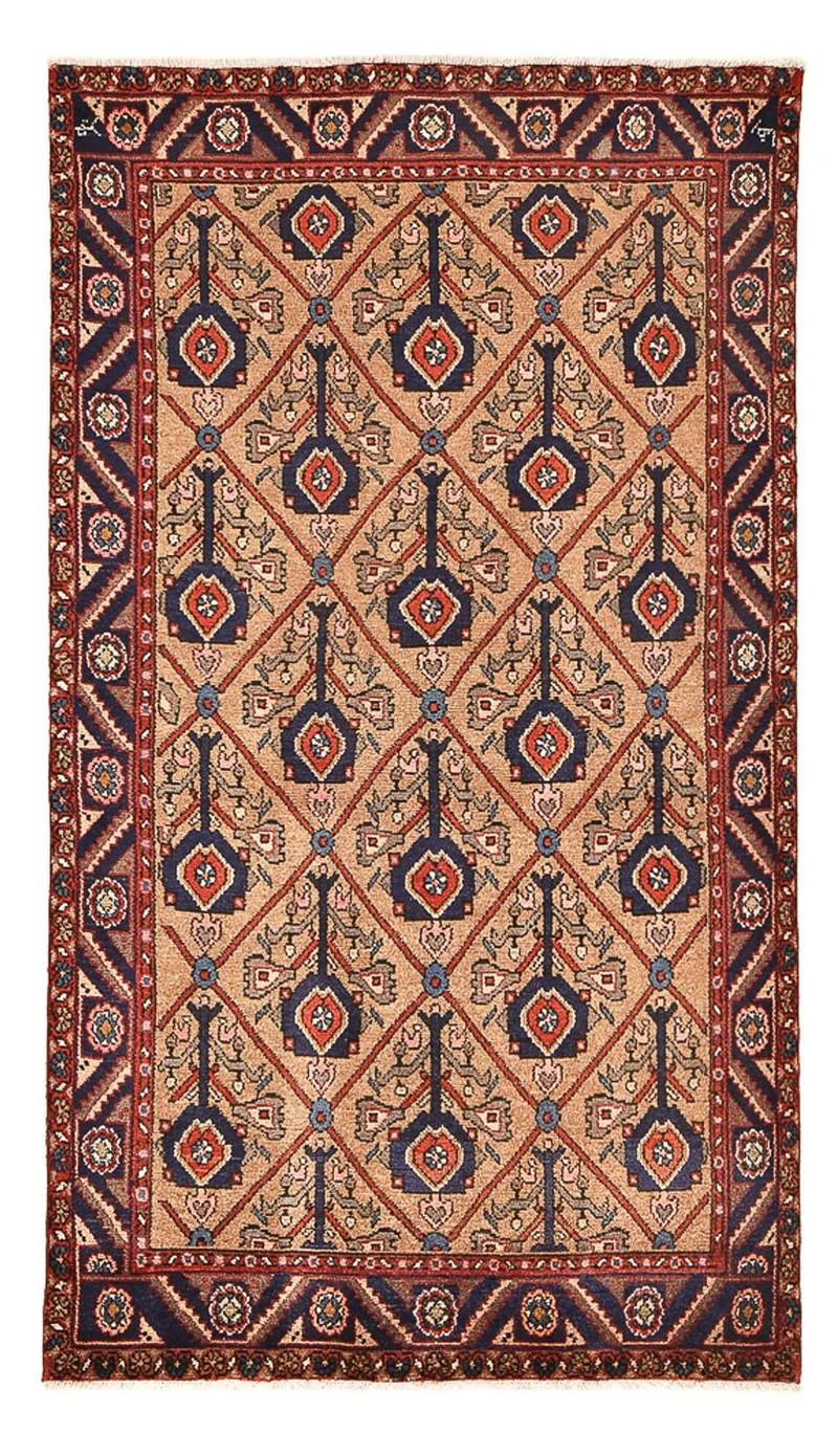 Kolyai Teppich 128x223cm - Perserteppich