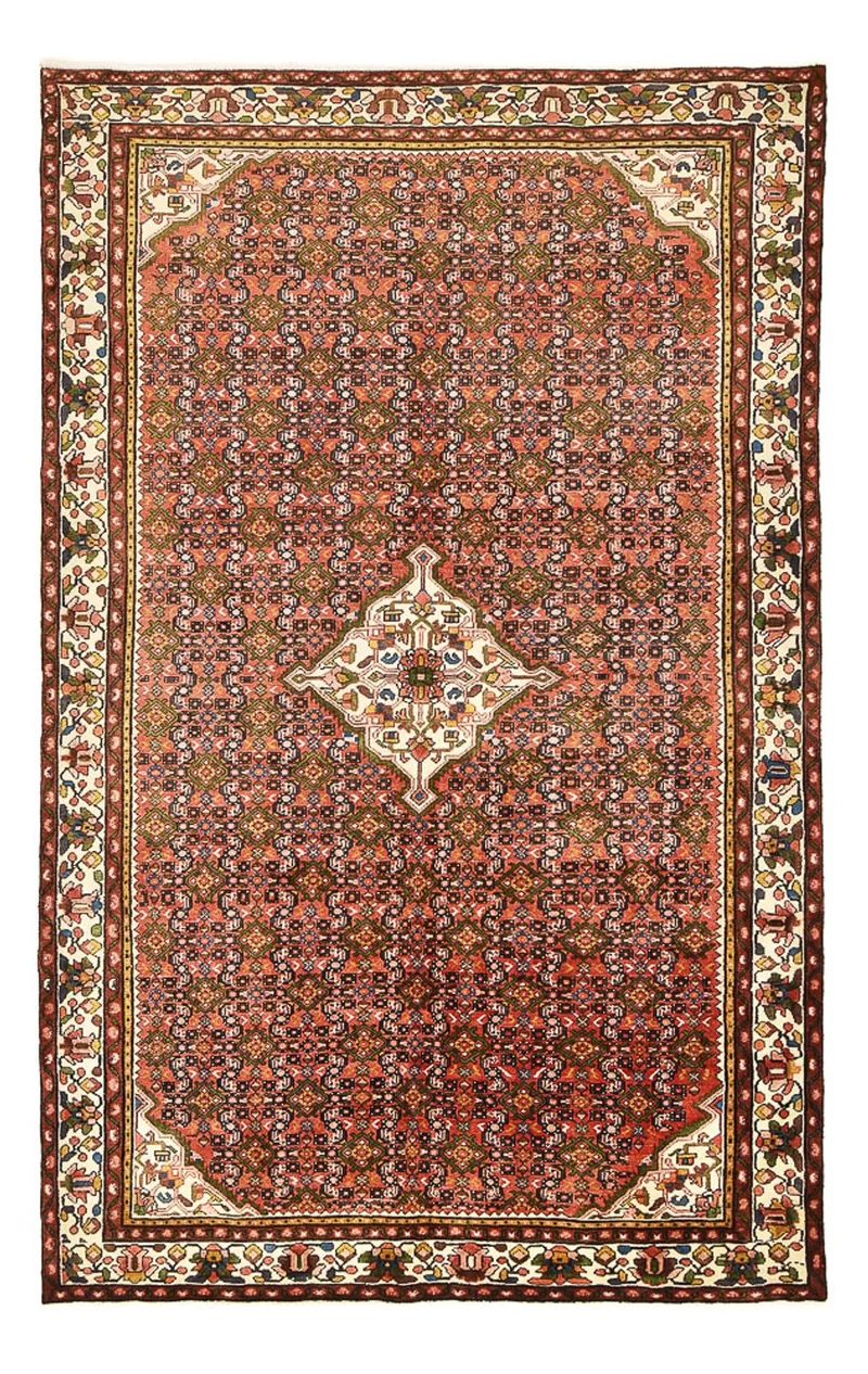 Perserteppich - Nomadic - 205 x 333 cm - rost