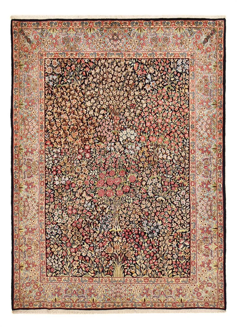 Rafsanjan Teppich 173x240cm - Perserteppich