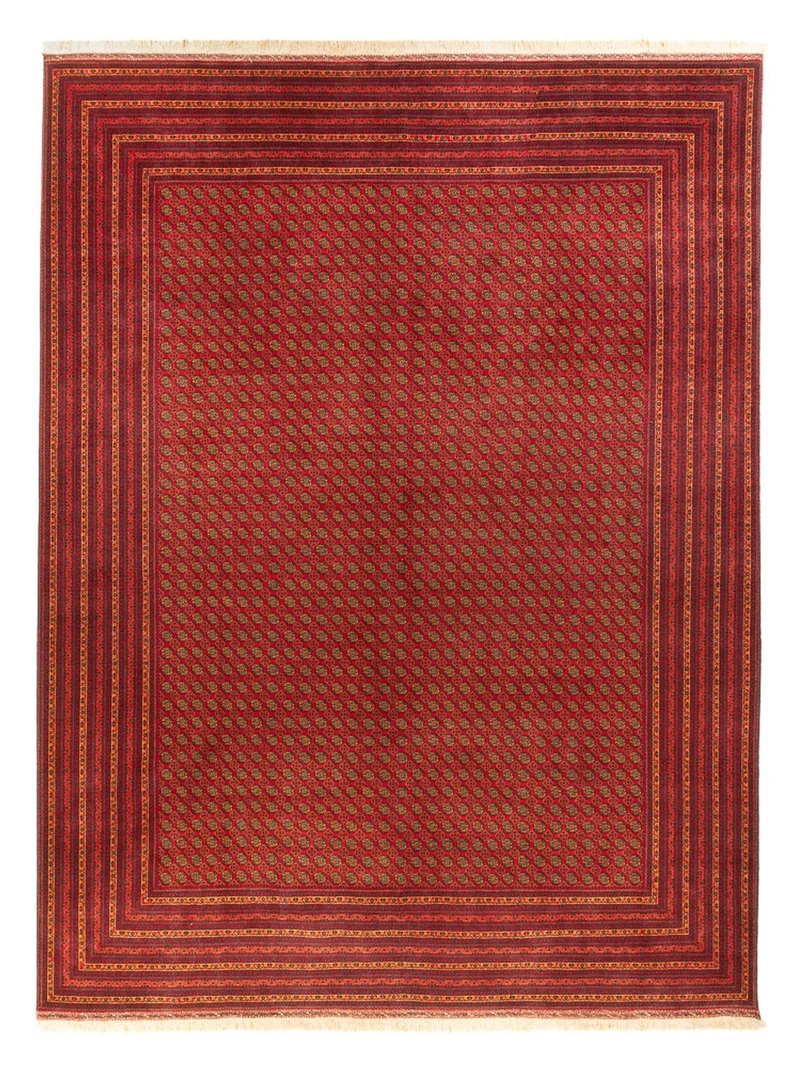 Afghan Teppich 295x389cm - Orientteppich