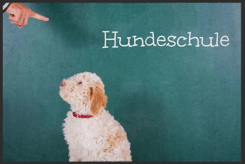 Sauberlaufmatte 11257