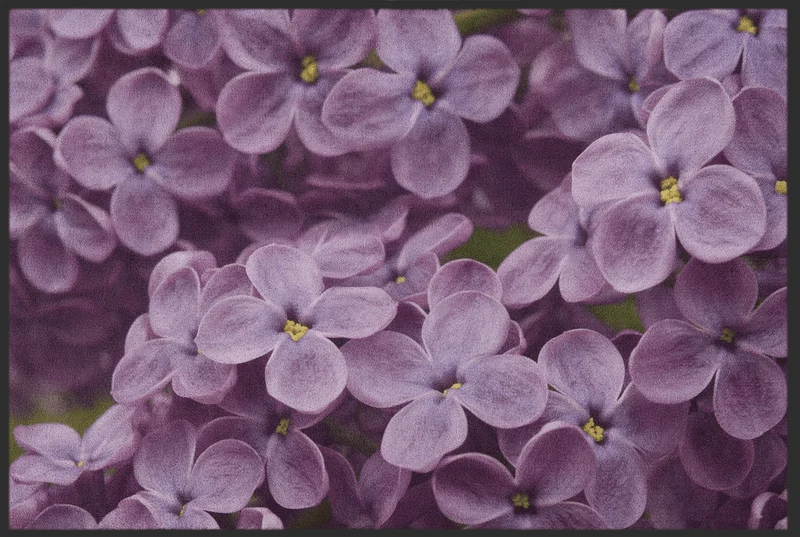 Fussmatte 10568