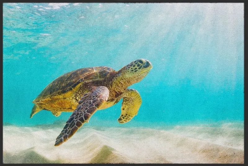 Fussmatte Schildkröte 10473