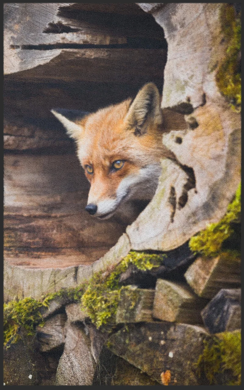 Sauberlaufmatte Fuchs 7755