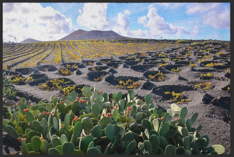 Fussmatte Lanzarote 10368