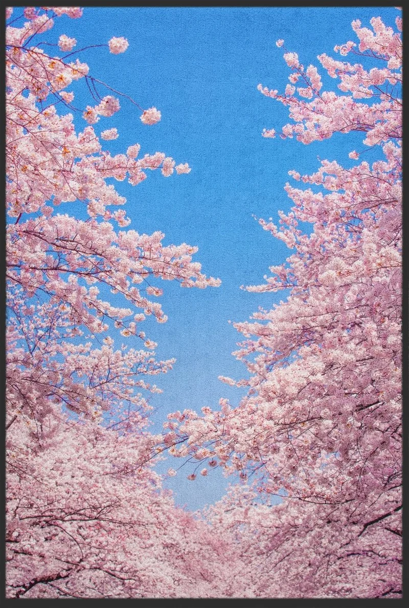 Fussmatte Kirschblüten 10365