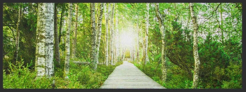 Läufer Waldweg 10270