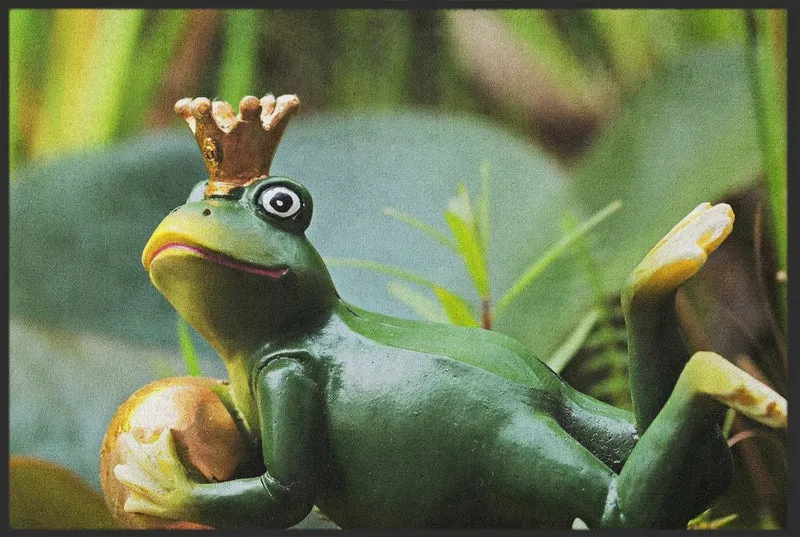 Fussmatte Froschkönig 10349