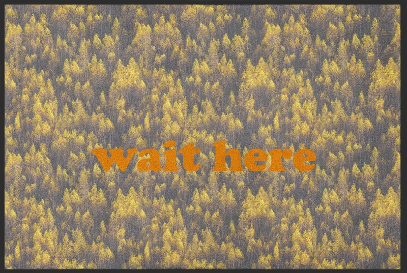 Sauberlaufmatte Wait here 10609