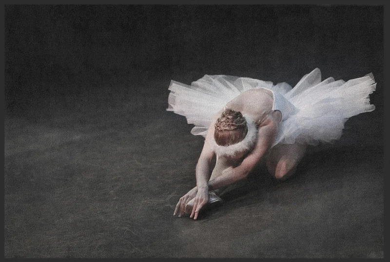 Sauberlaufmatte Ballerina 10533
