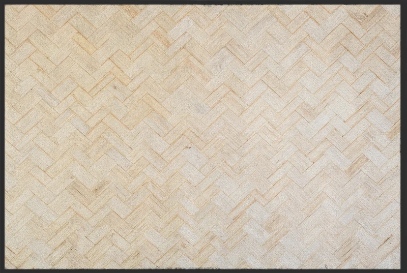 Sauberlaufmatte 10513