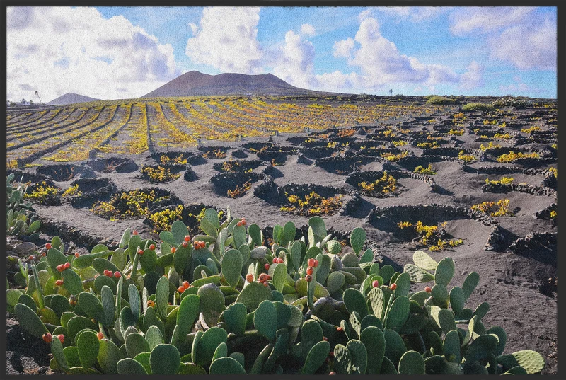 Sauberlaufmatte Lanzarote 10368
