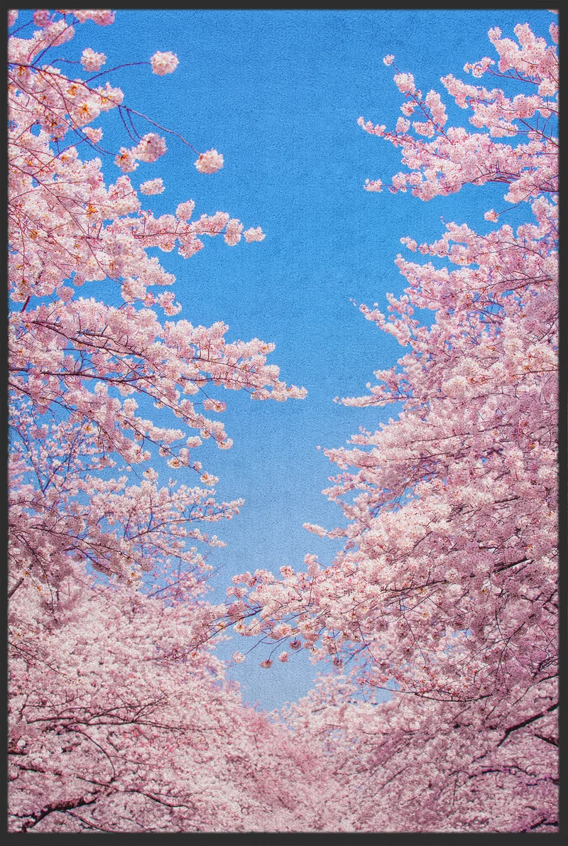 Sauberlaufmatte Kirschblüten 10365