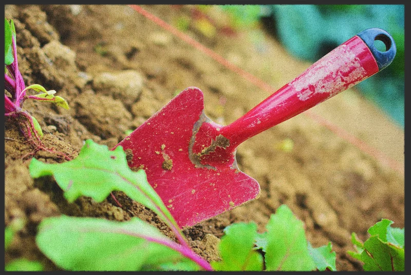 Sauberlaufmatte 10355