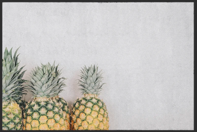 Sauberlaufmatte Ananas 10352