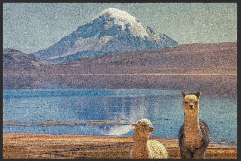 Sauberlaufmatte Alpaca 10331
