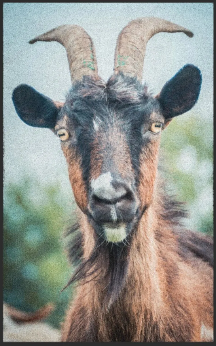 Fussmatte 7245