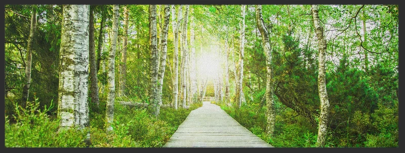 Läufer Waldweg 10270