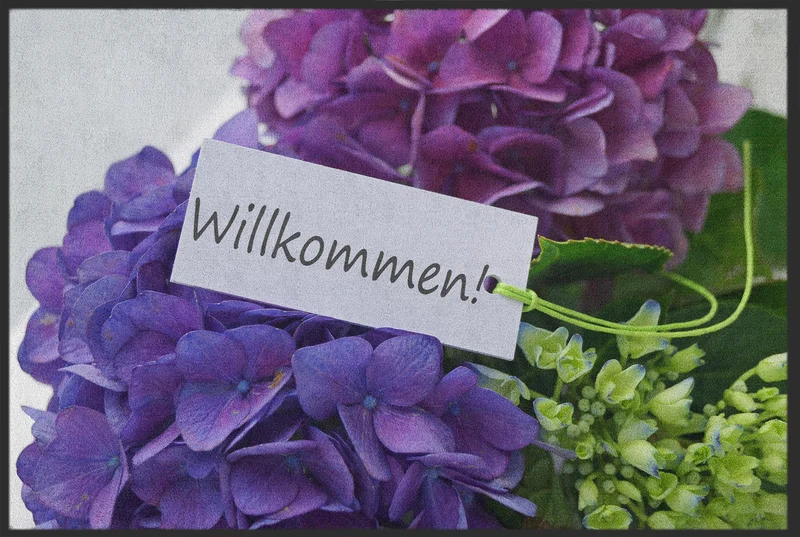 Sauberlaufmatte Willkommen 10021