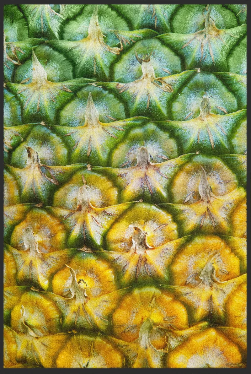 Sauberlaufmatte Ananas 10205