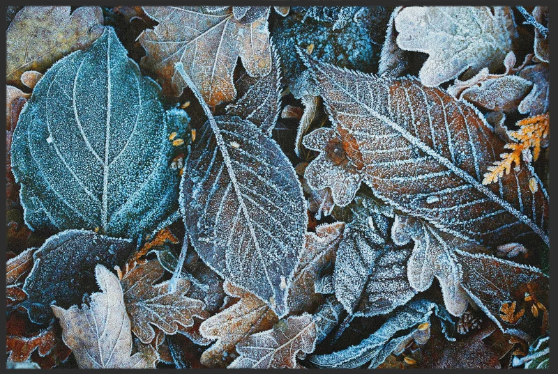 Sauberlaufmatte 10187