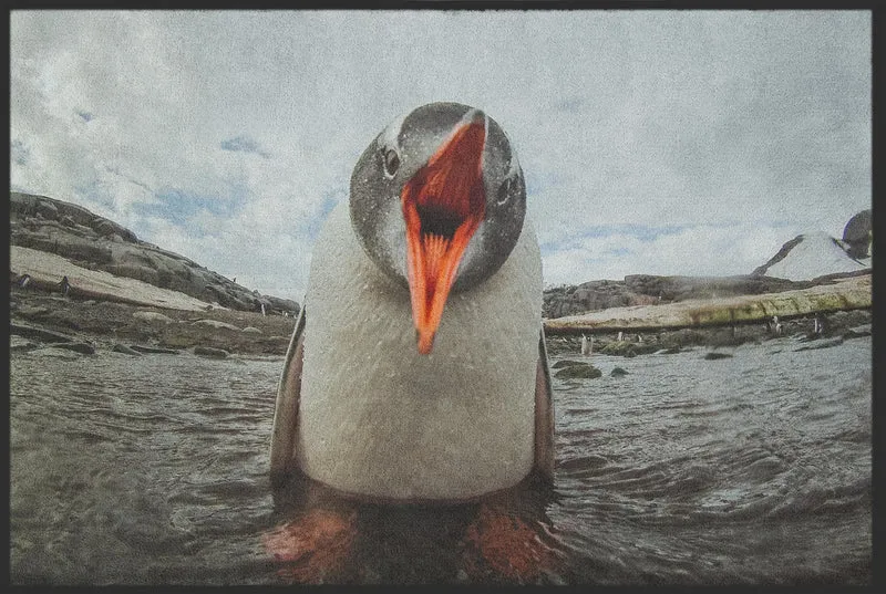 Sauberlaufmatte Pinguin 10169