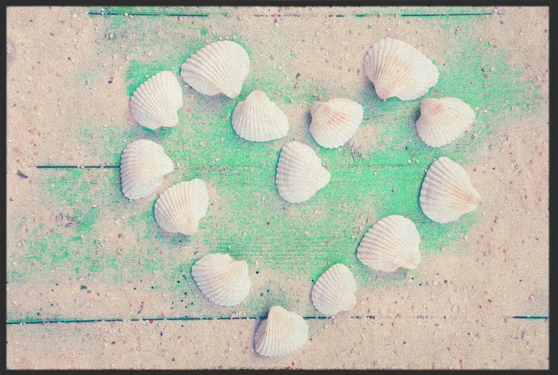 Sauberlaufmatte Muscheln 10151