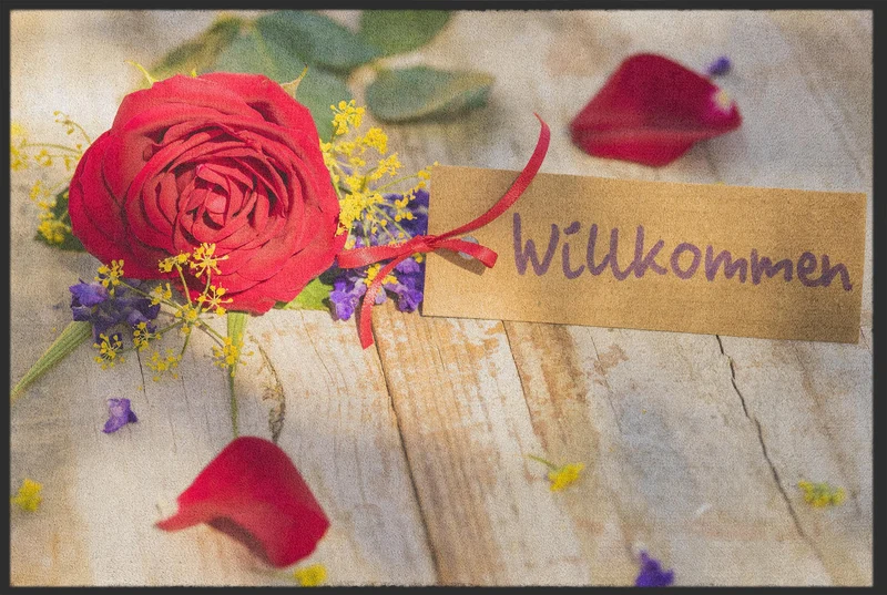 Sauberlaufmatte Willkommen 10091