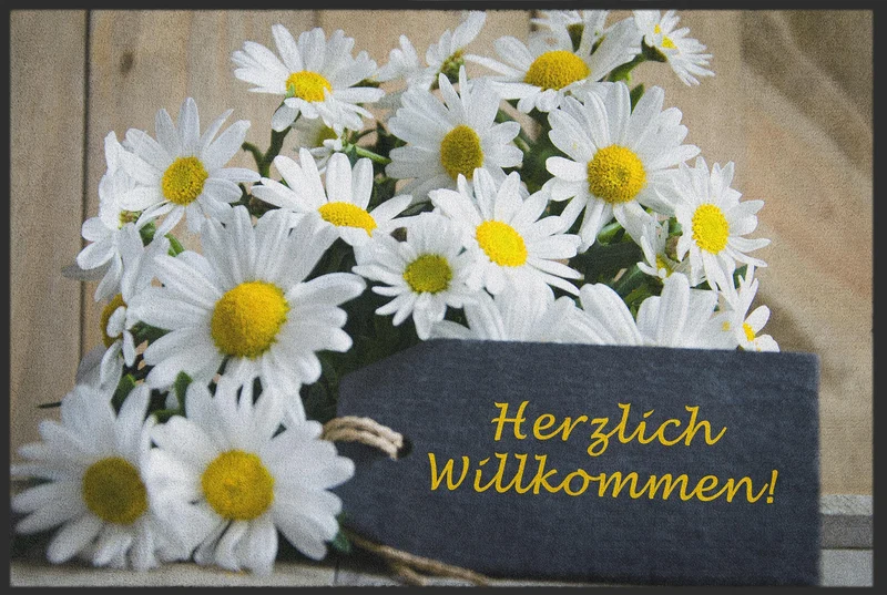 Sauberlaufmatte Herzlich Willkommen 10081