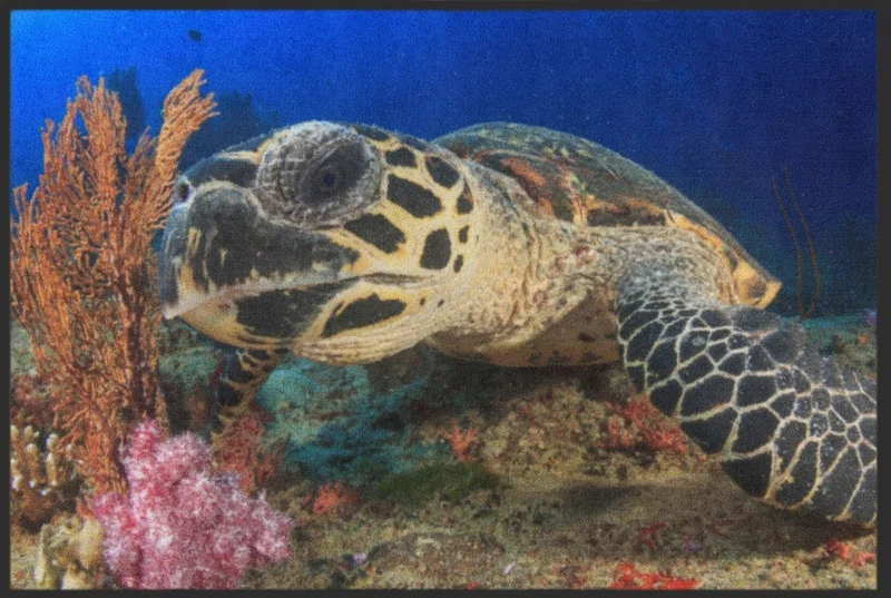 Fussmatte Schildkröte 6325