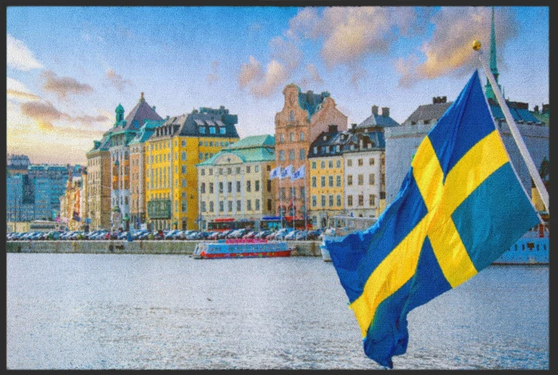 Sauberlaufmatte Schweden 4482