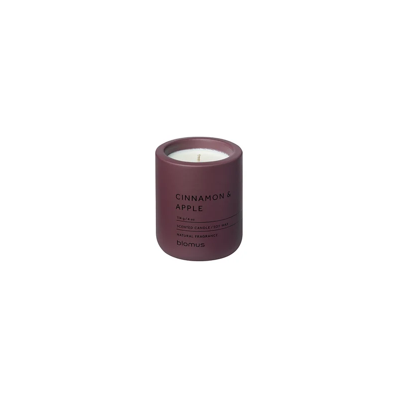FRAGA geurkaars Cinnamon & Apple 290 gram