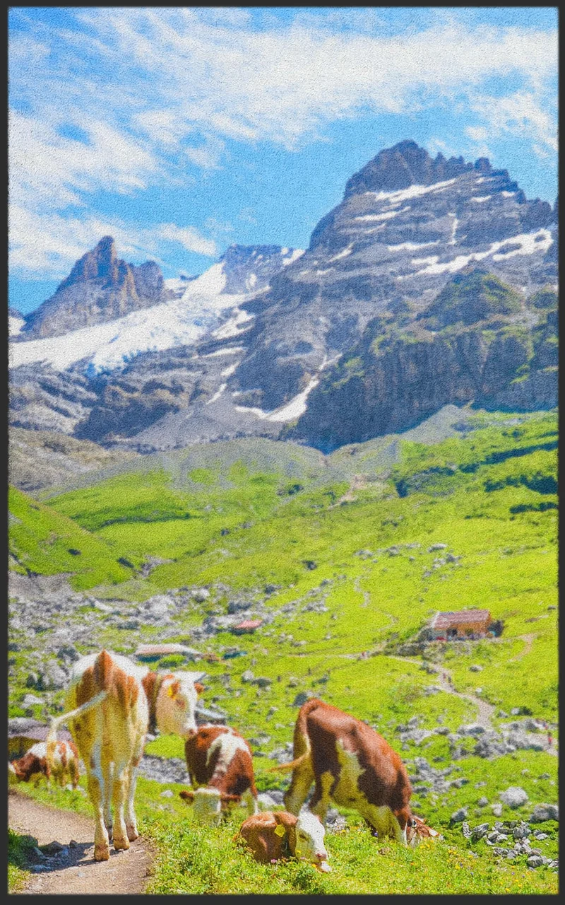 Sauberlaufmatte 7795
