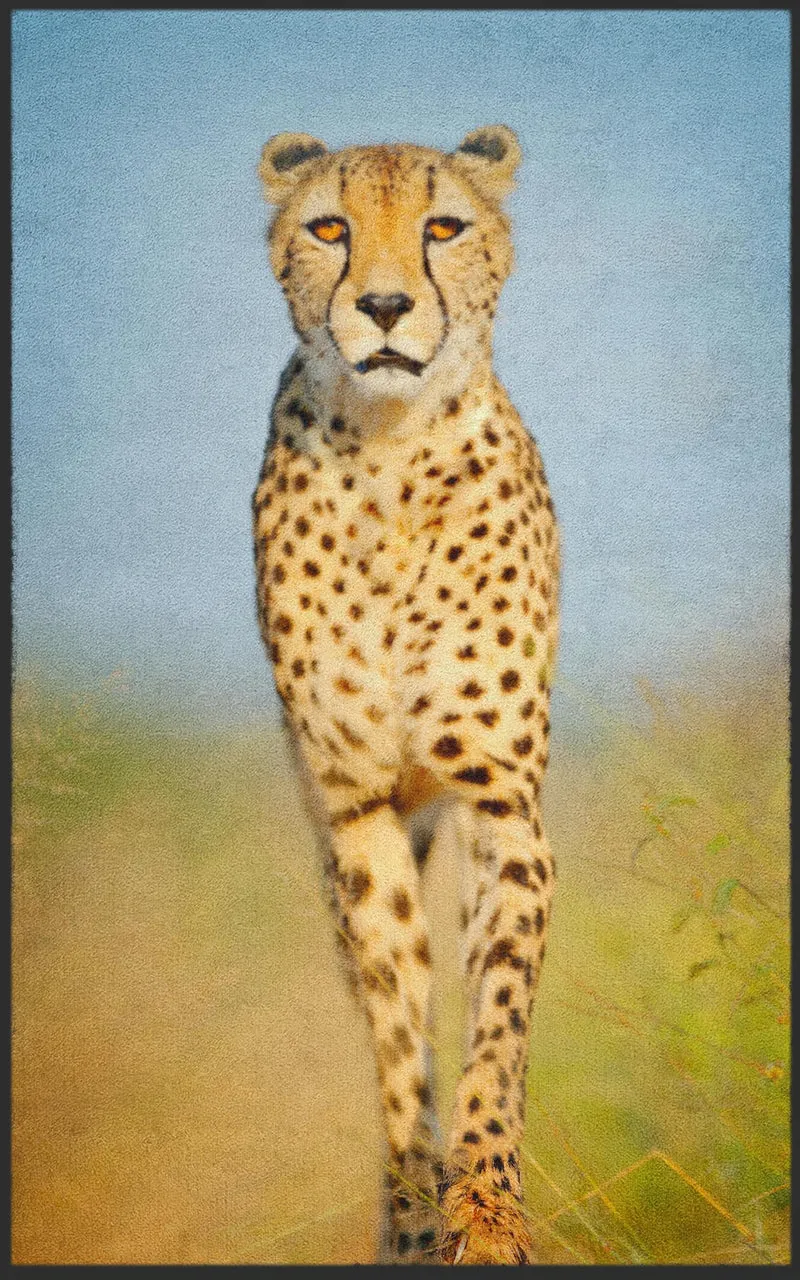 Sauberlaufmatte Gepard 7785