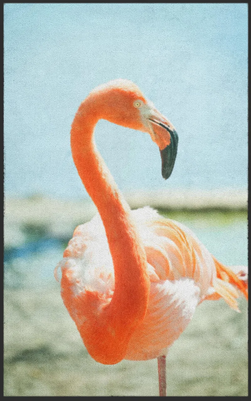 Sauberlaufmatte Flamingo 7780