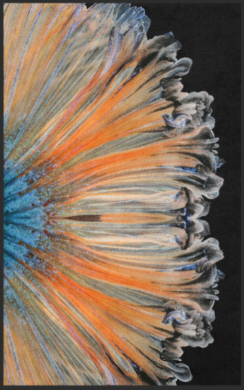 Sauberlaufmatte 7774