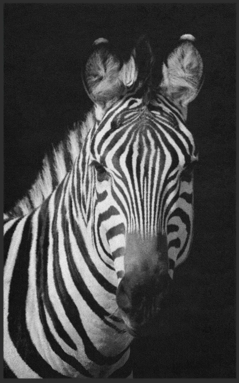 Sauberlaufmatte Zebra 7769
