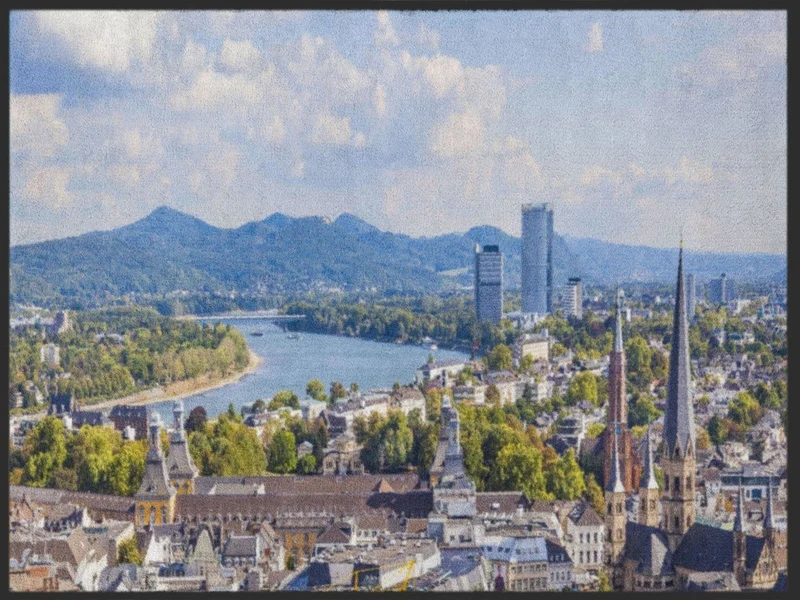 Fussmatte Bonn 4953