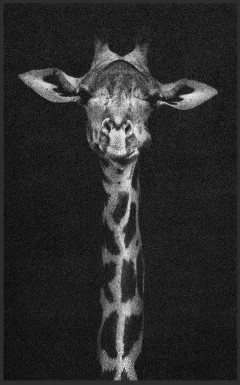 Sauberlaufmatte Giraffe 7687