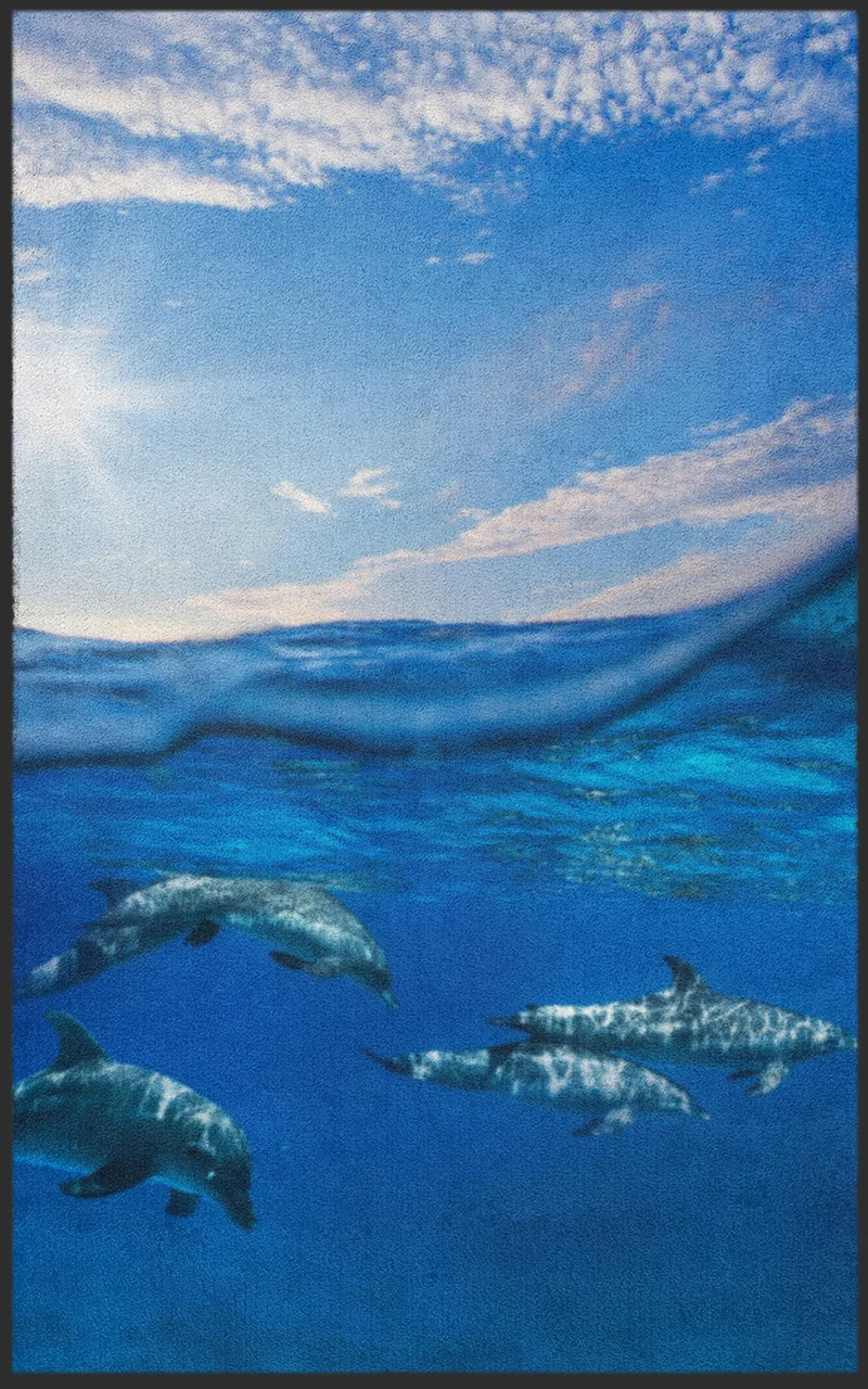 Sauberlaufmatte Delfin 7683