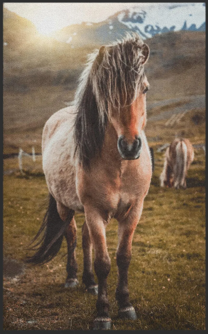 Sauberlaufmatte Pferd 7642