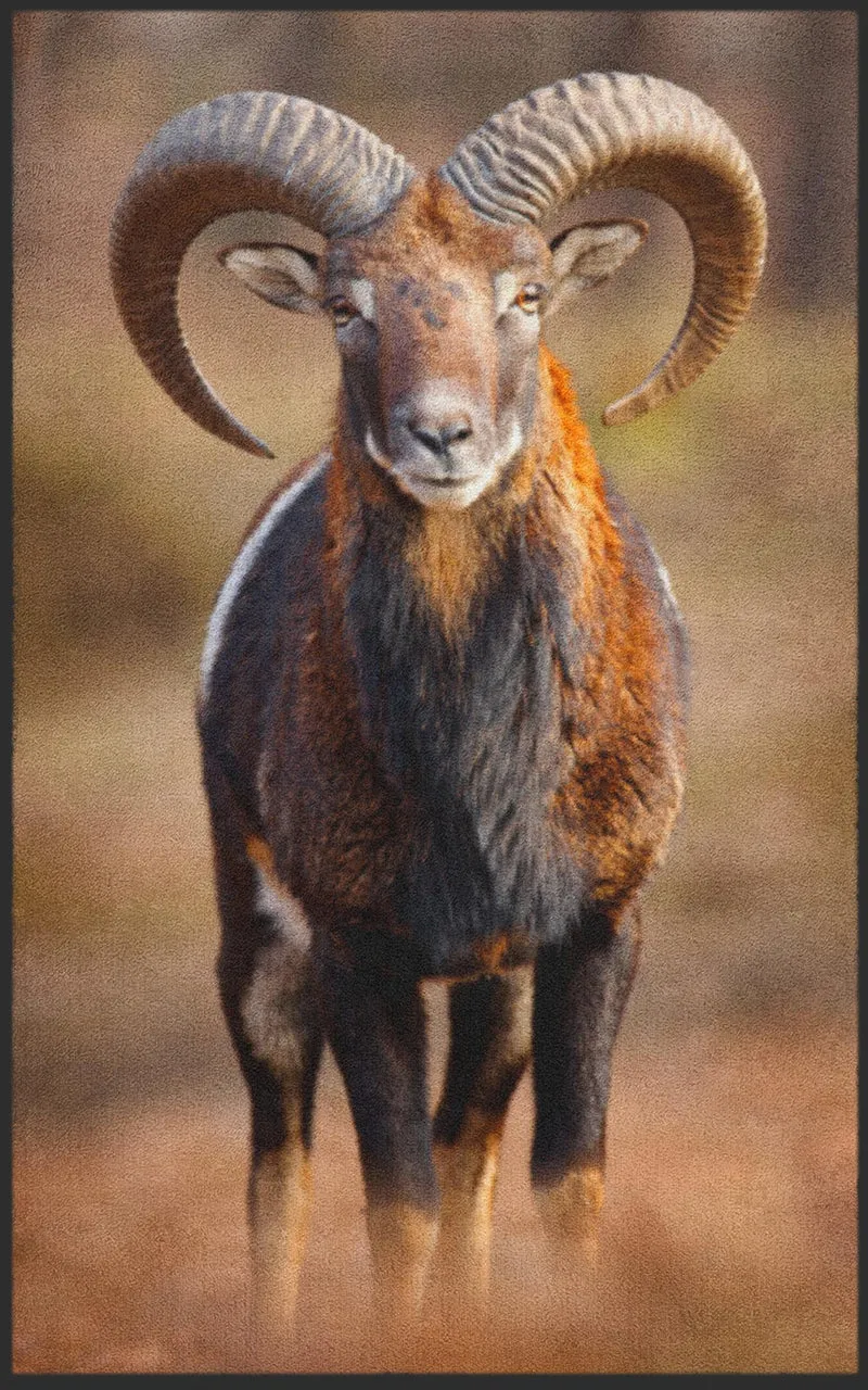 Sauberlaufmatte 7639