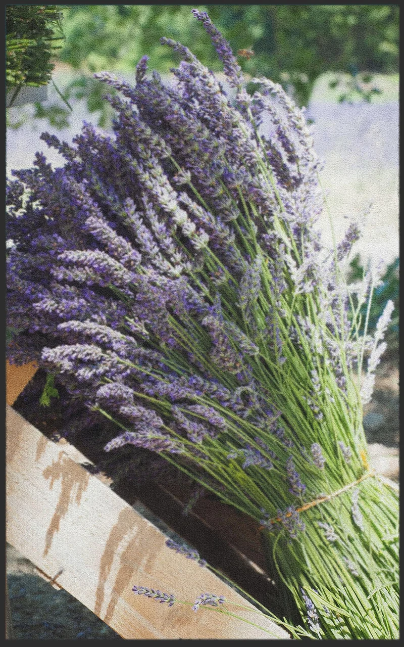 Sauberlaufmatte Lavendel 7597